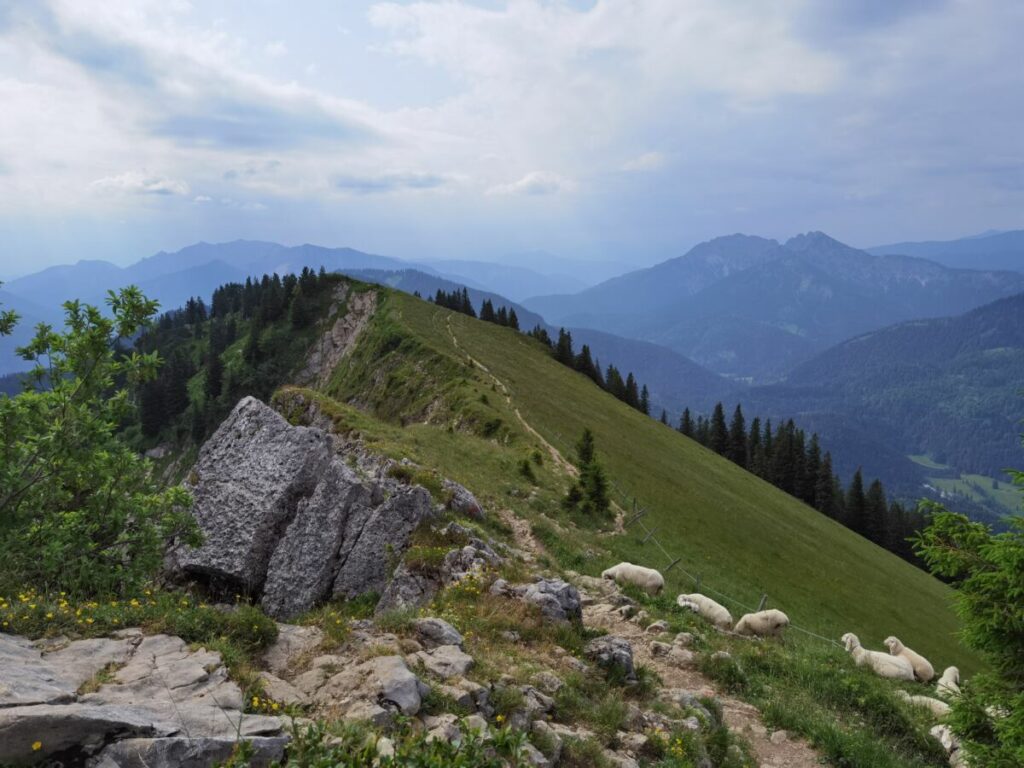 Ausblick auf der Bodenschneid Wanderung am Gipfel - in Richtung Blauberge, Rofan und die anderen Berge in Tirol