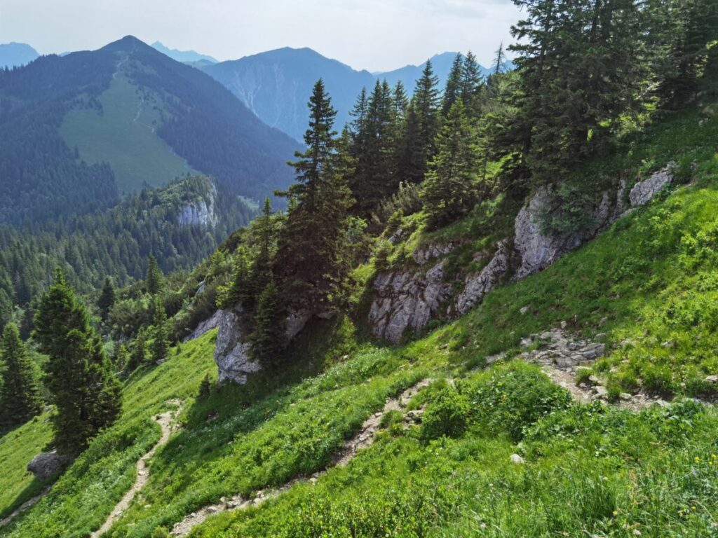 Steil geht es vom Bodenschneid Gipfel hinunter zur Oberen Firstalm