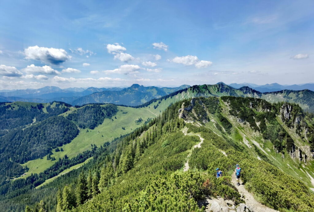 Brecherspitz wandern - eine Traumtour in den Münchner Hausbergen