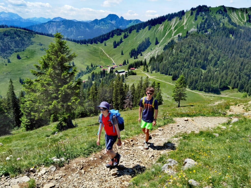 Der Aufstieg zur Brecherspitze über die Almflächen der Firstalm