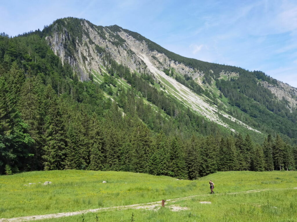 Die Spitzingsattel Wanderung - führt durch vom Schlierseer Ortsteil Josefsthal herauf, mit Blick auf die Brecherspitze