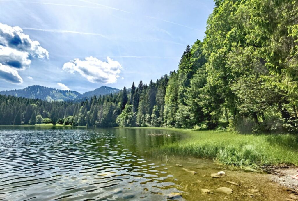 Am Spitzingsee Ufer