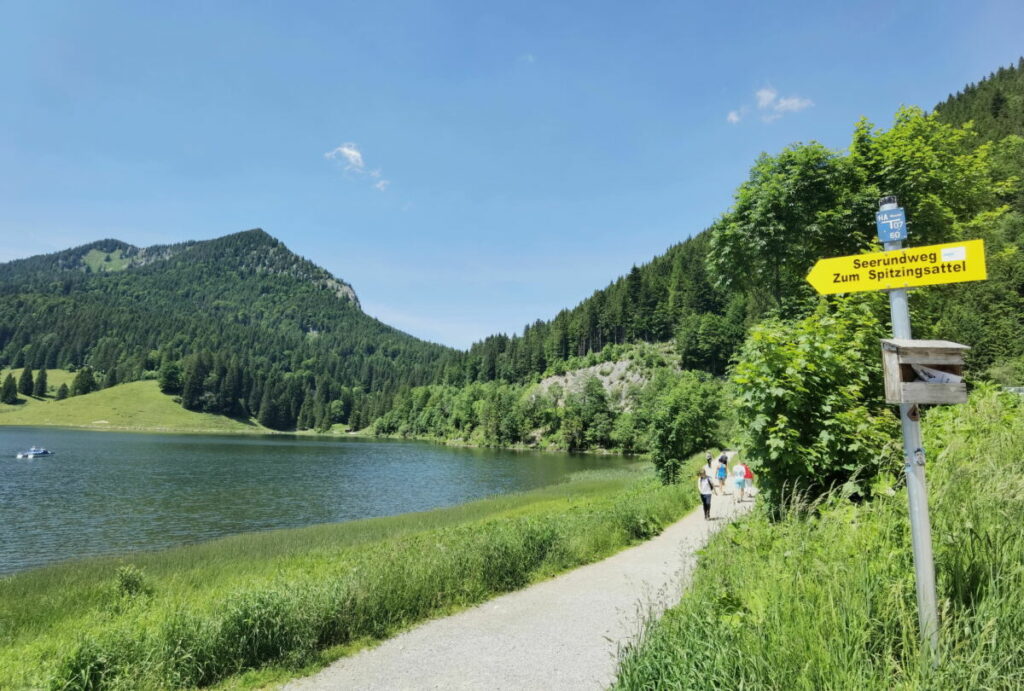 Der Spitzingsee Rundweg führt einmal rund um den See, meist direkt am Ufer