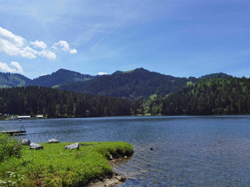 Hier kannst du perfekt im Spitzingsee baden