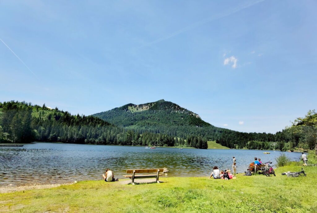 Perfekt für eine Pause am Spitzingsee Rundweg - direkt am See sitzen und auf die Brecherspitze schauen