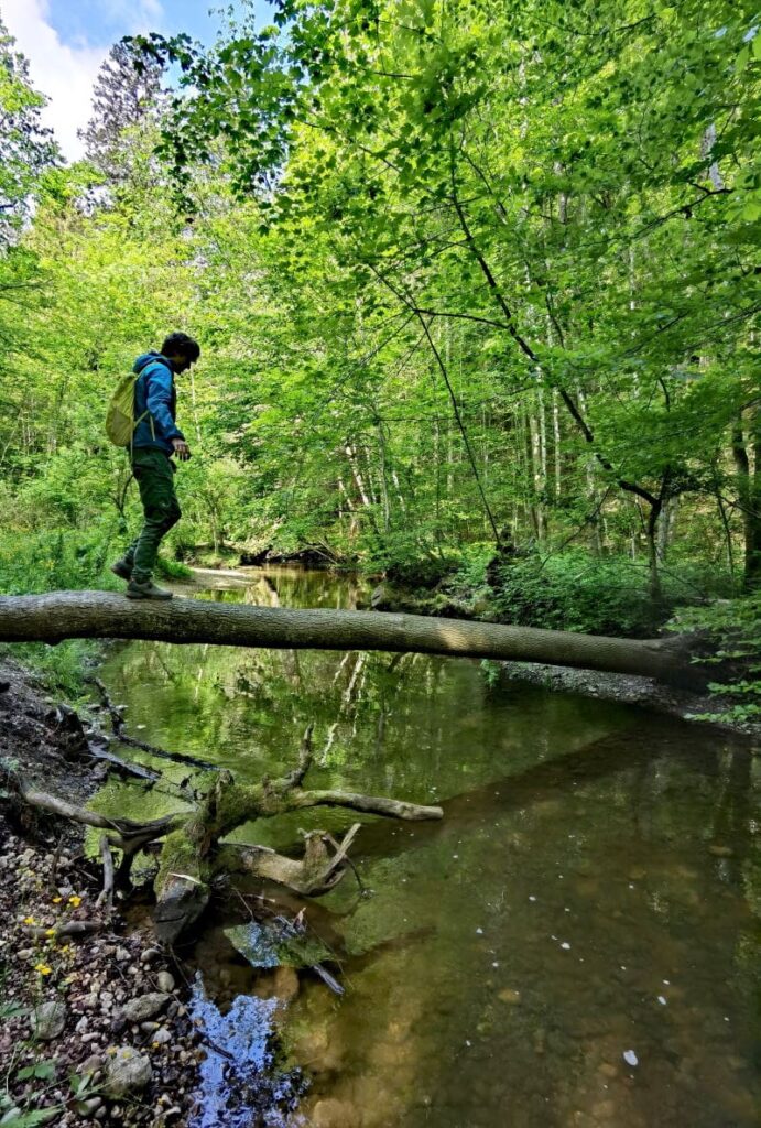 Ausflugsziele Bayern nahe München: Die Maisinger Schlucht am Starnberger See